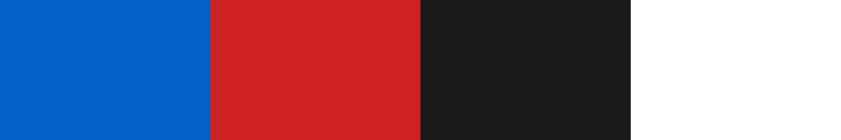 Color Palette of rapidemt.com