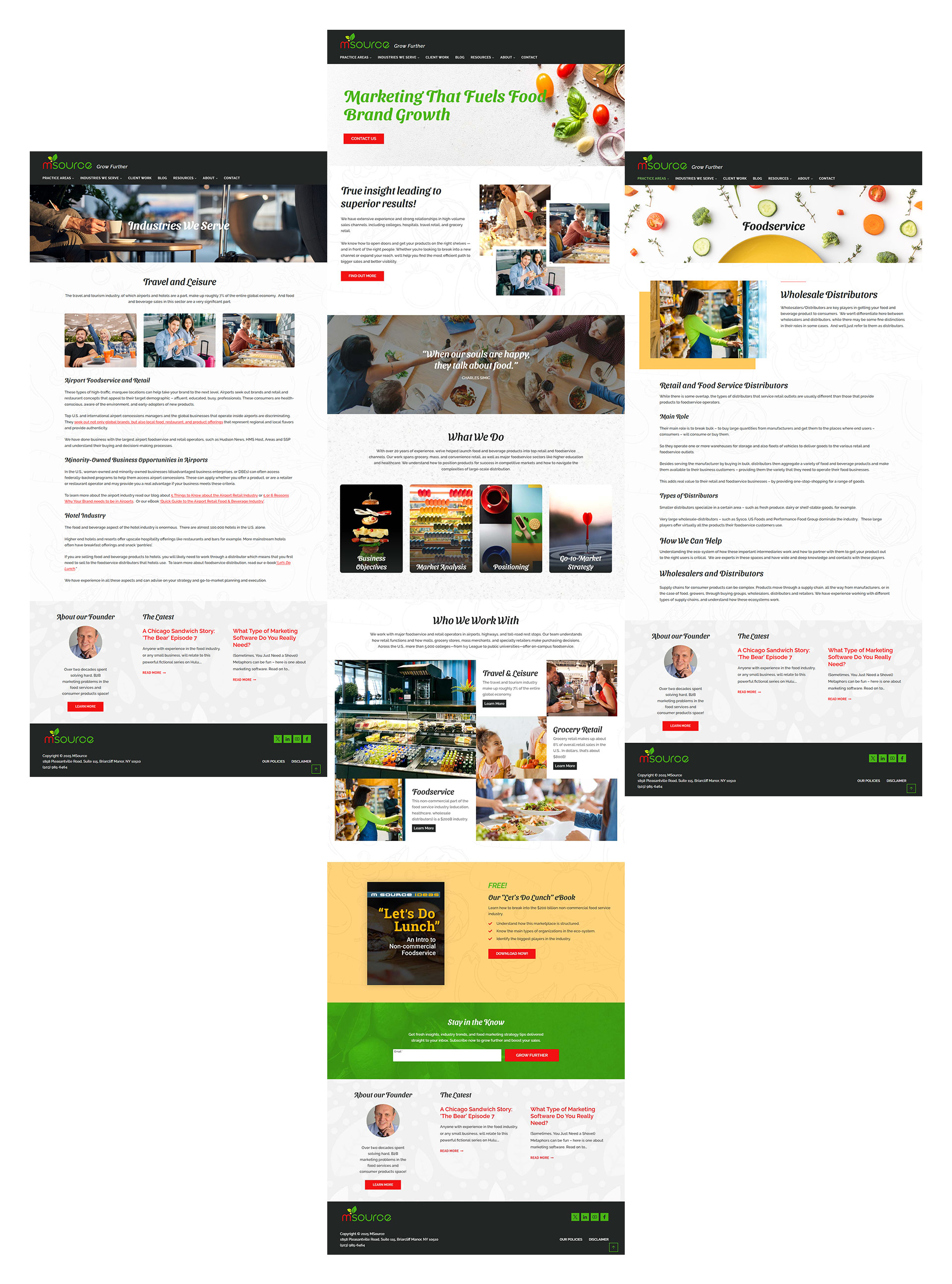 MSource Website Presence